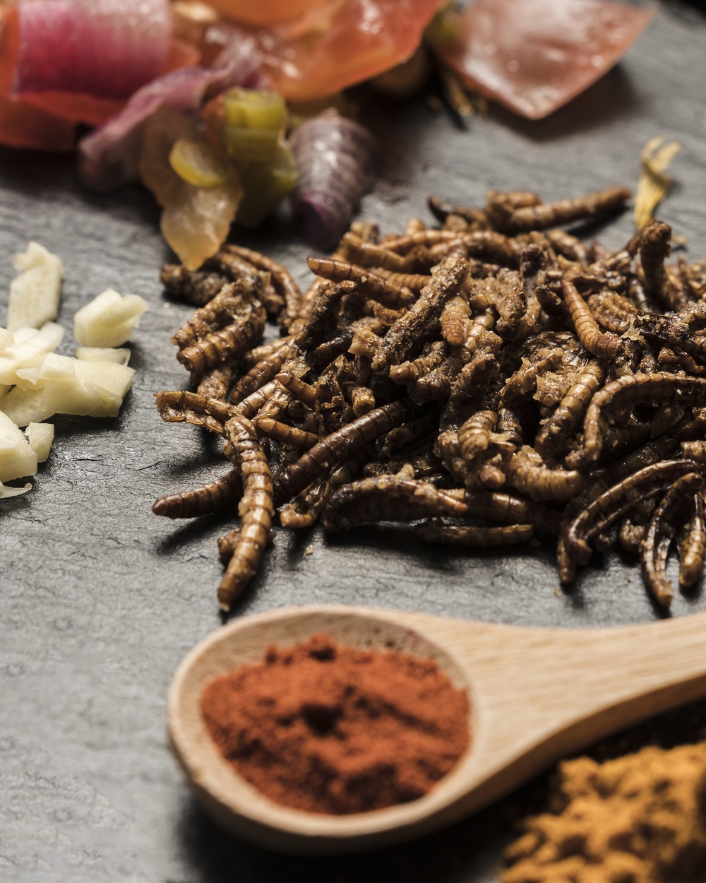 Edible Insects Protein Source